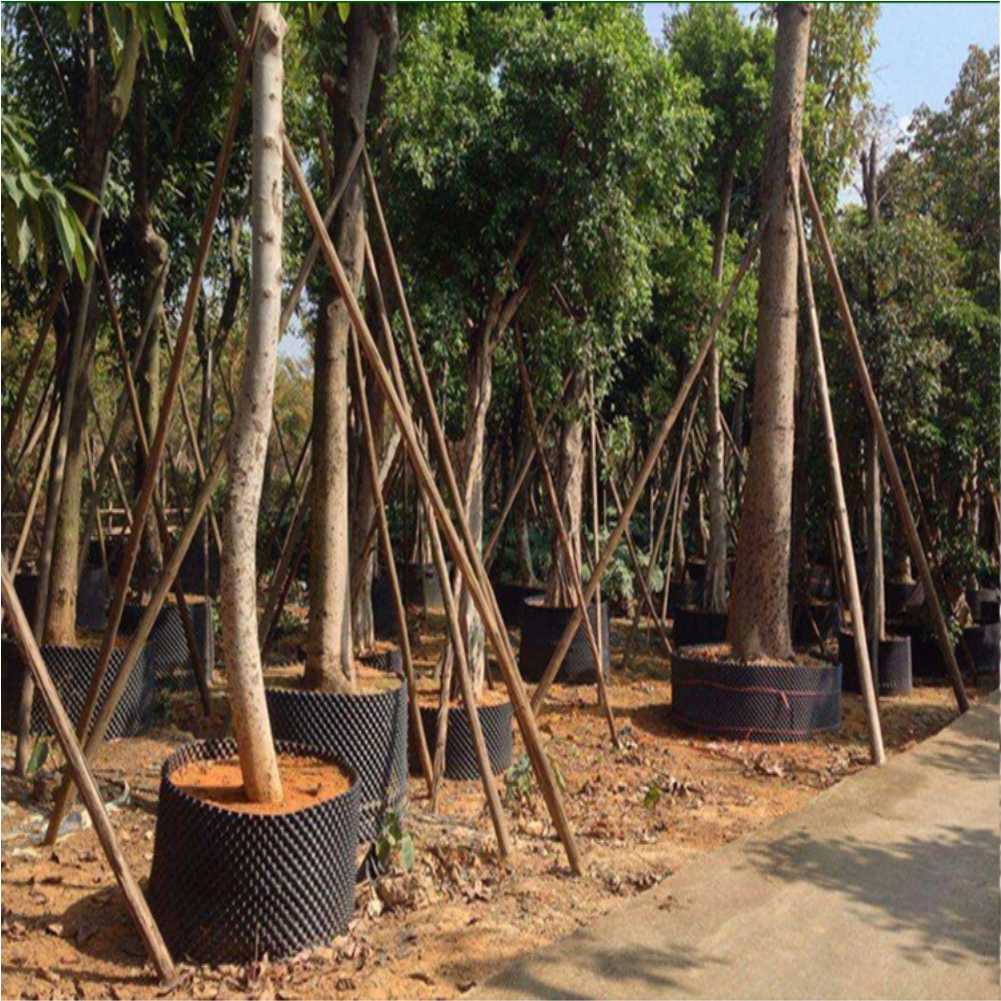 Grow Container Garden Tree Bon – Outdoor Furniture In recenzja i cena