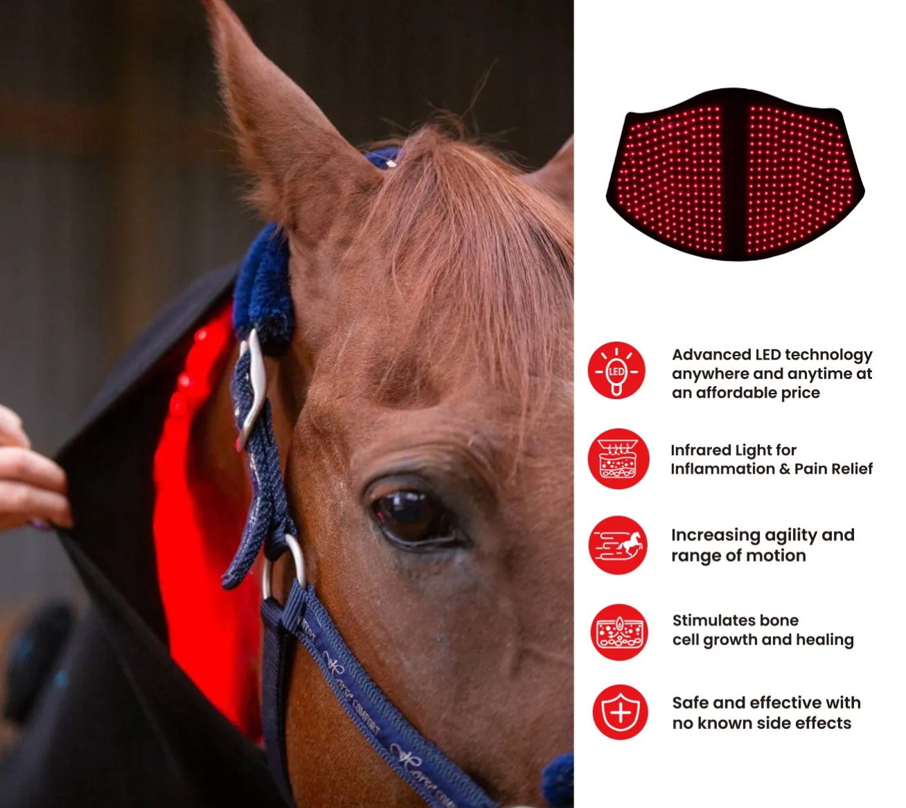 Red Light Targeting Neck Areas – Outdoor Furniture Target recenzja i cena